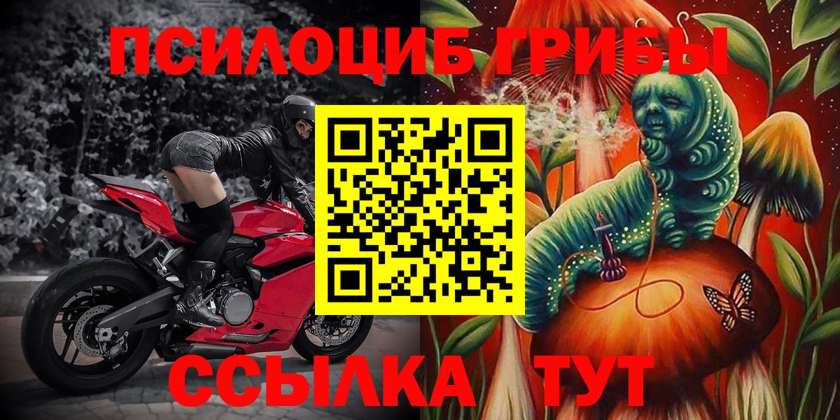 Каменск-Уральский  Галлюциногенные грибы Psilocybine cubensis  купить наркоту  Вход с VPN  Псилоцибиновые грибы MAGIC MUSHROOMS 