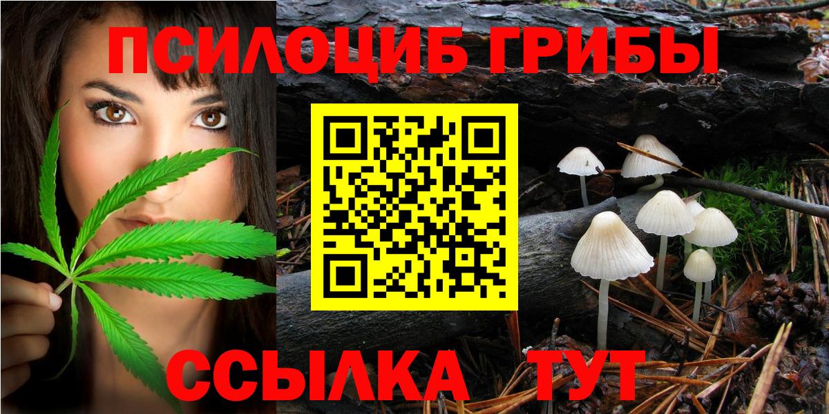 Галлюциногенные грибы Cubensis Каменск-Уральский